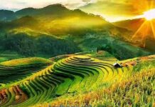 Lãng mạn trung du